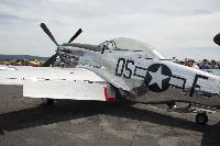 DSC_3142.jpg