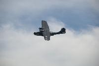 DSC_3150.jpg