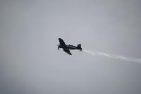 DSC_3170.jpg