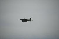 DSC_3195.jpg