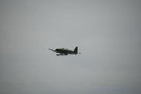 DSC_3196.jpg