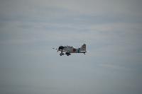 DSC_3199.jpg