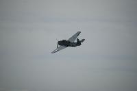 DSC_3204.jpg