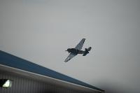DSC_3206.jpg