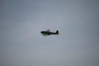 DSC_3210.jpg