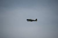 DSC_3212.jpg