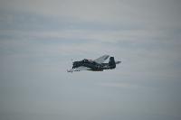 DSC_3222.jpg