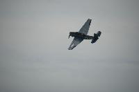 DSC_3225.jpg