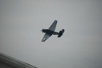 DSC_3226.jpg