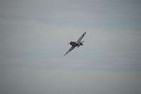 DSC_3230.jpg