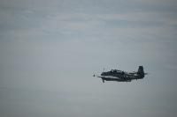 DSC_3232.jpg