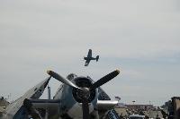 DSC_3240.jpg