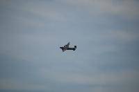 DSC_3433.jpg