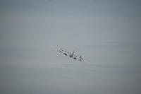 DSC_3518.jpg