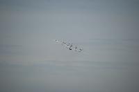DSC_3519.jpg