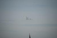DSC_3522.jpg