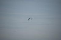 DSC_3526.jpg