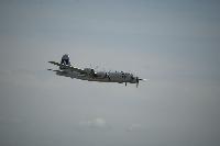 DSC_3537.jpg