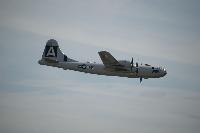 DSC_3542.jpg