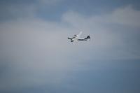 DSC_3551.jpg
