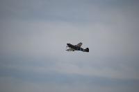 DSC_3554.jpg
