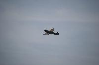 DSC_3556.jpg