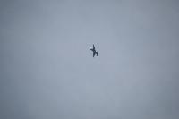 DSC_3574.jpg