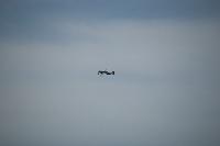 DSC_3589.jpg