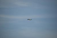 DSC_3592.jpg