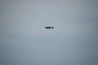 DSC_3593.jpg