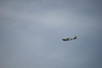 DSC_3596.jpg