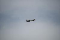 DSC_3597.jpg