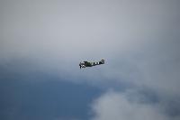 DSC_3599.jpg