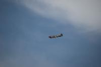 DSC_3600.jpg