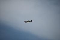 DSC_3602.jpg