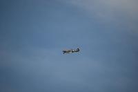 DSC_3603.jpg