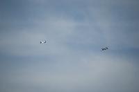 DSC_3605.jpg