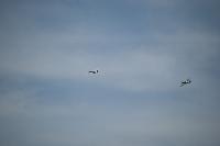 DSC_3606.jpg