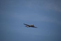 DSC_3655.jpg