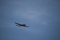 DSC_3656.jpg