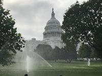 IMG_8439.JPG