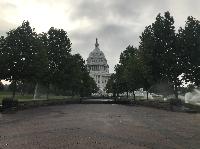 IMG_8450.JPG