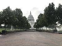 IMG_8452.JPG