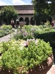 IMG_5976.JPG