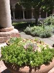 IMG_5980.JPG