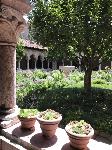 IMG_5981.JPG