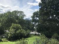 IMG_6871.JPG