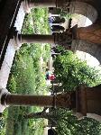 IMG_6980.JPG