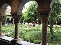 IMG_6981.JPG