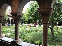 IMG_6982.JPG